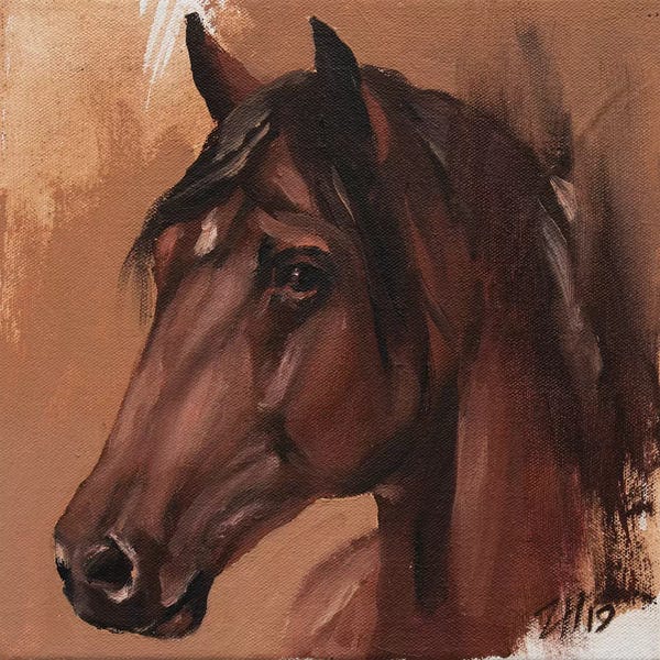 Zil Hoque: Family Equidae (study 5) by Zil Hoque