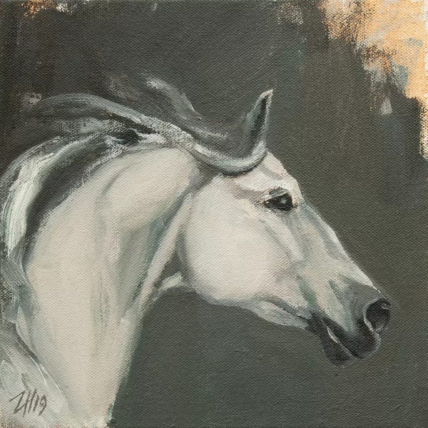 Zil Hoque: Family Equidae (study 13) by Zil Hoque