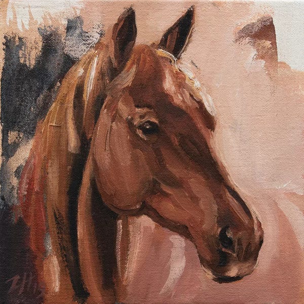 Zil Hoque: Family Equidae (study 15) by Zil Hoque