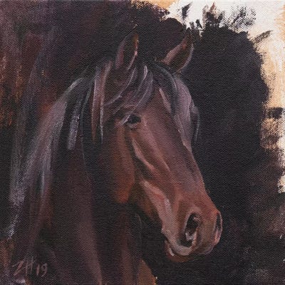 Family Equidae (study 22) by Zil Hoque art print