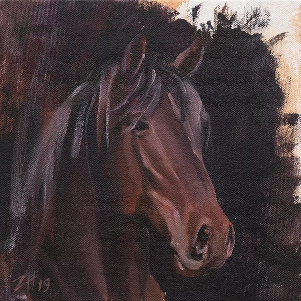 Zil Hoque: Family Equidae (study 22) by Zil Hoque