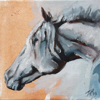 Family Equidae (study 24) by Zil Hoque art print