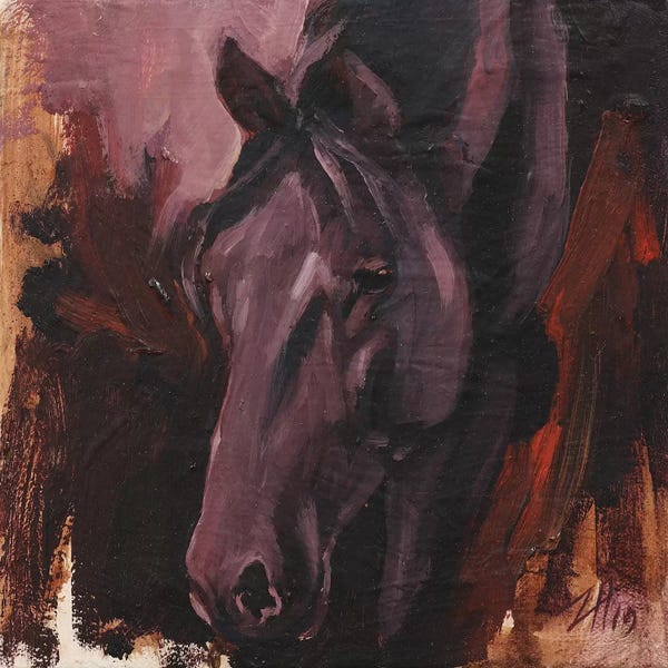 Zil Hoque: Family Equidae (study 75) by Zil Hoque