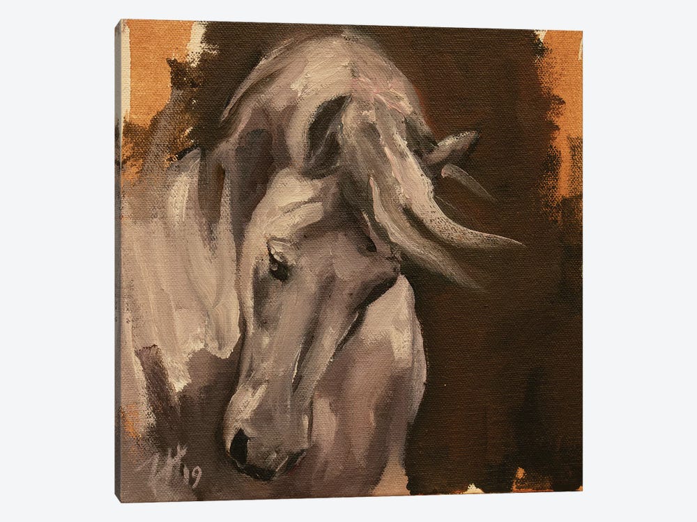 Equine Head Arab White (study 44) by Zil Hoque 1-piece Canvas Print