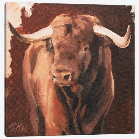 Toro Head Colorado (study 7) Canvas Print #ZHO146} by Zil Hoque Canvas Print