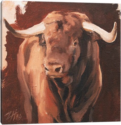 Toro Head Colorado (study 7) Canvas Art Print - Zil Hoque