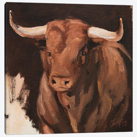 Toro Head Colorado (study 8) Canvas Print #ZHO147} by Zil Hoque Canvas Print