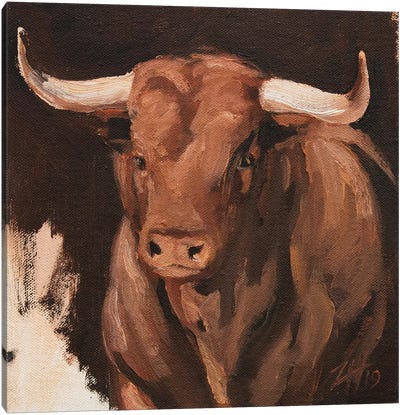 Toro Head Colorado (study 8) Canvas Art Print - Zil Hoque