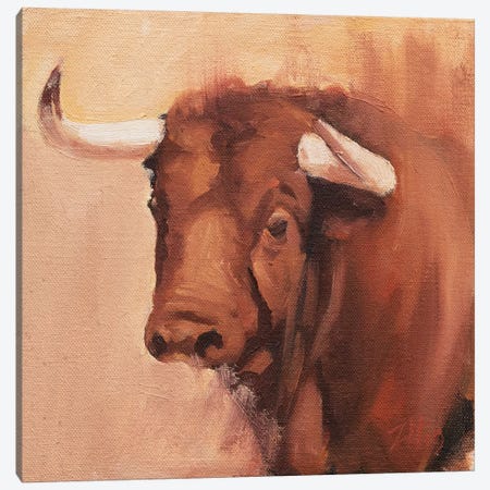 Toro Head Colorado (study 9) Canvas Print #ZHO148} by Zil Hoque Canvas Art