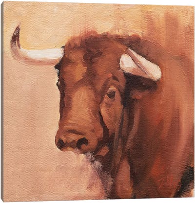 Toro Head Colorado (study 9) Canvas Art Print - Zil Hoque