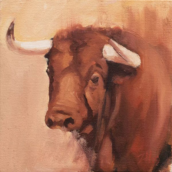 Bulls: Toro Head Colorado (study 9) by Zil Hoque