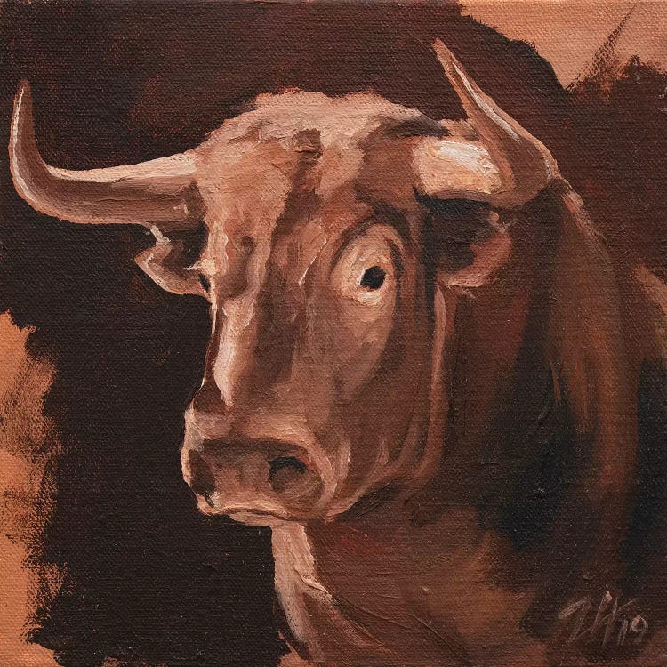 Toro Head Colorado (study 10)