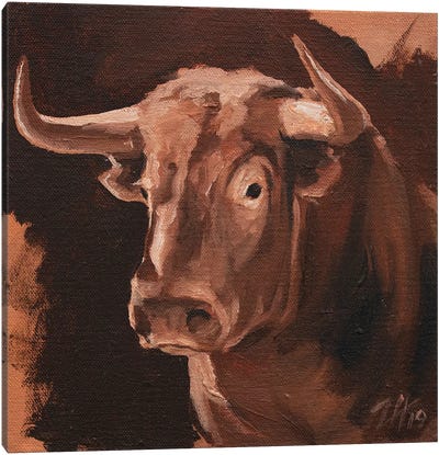 Toro Head Colorado (study 10) Canvas Art Print - Zil Hoque