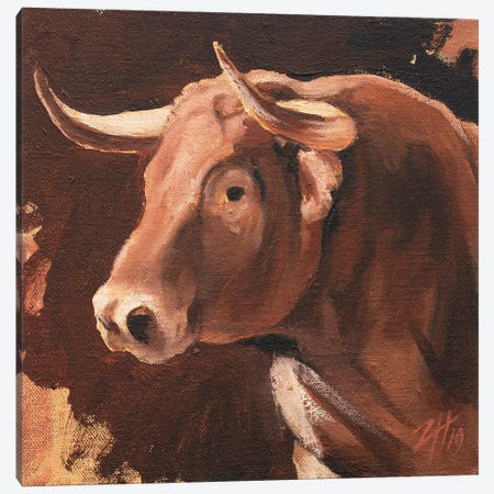 Toro Head Colorado (study 11) Canvas Print #ZHO150} by Zil Hoque Art Print
