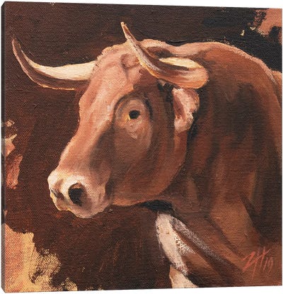 Toro Head Colorado (study 11) Canvas Art Print - Zil Hoque
