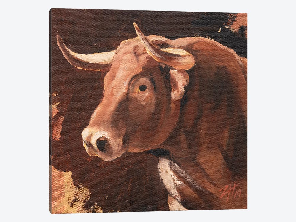 Toro Head Colorado (study 11) by Zil Hoque 1-piece Canvas Print