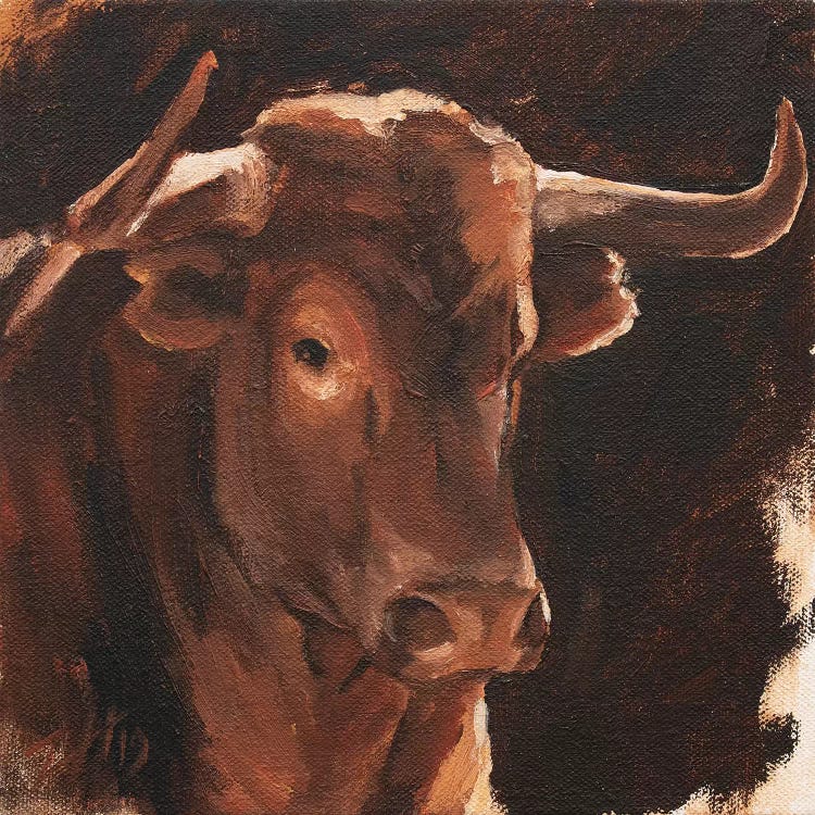 Toro Head Colorado (study 13)