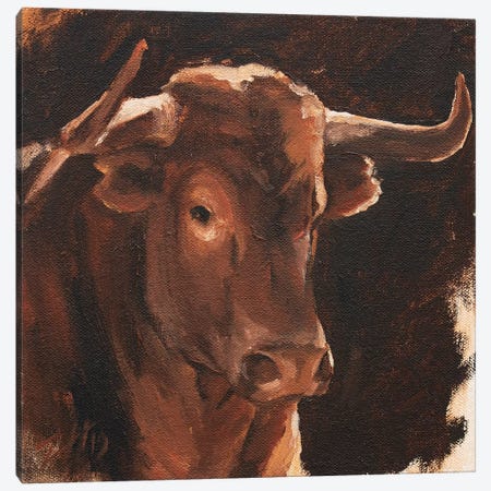 Toro Head Colorado (study 13) Canvas Print #ZHO152} by Zil Hoque Art Print