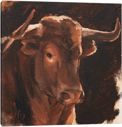 Toro Head Colorado (study 13) Canvas Art Print - Zil Hoque