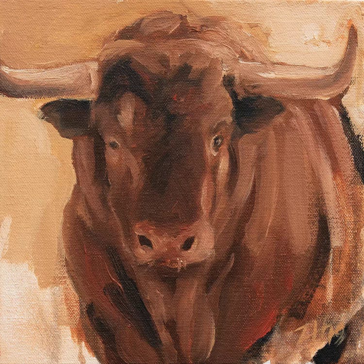 Toro Head Colorado (study 14)