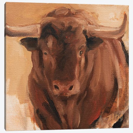 Toro Head Colorado (study 14) Canvas Print #ZHO153} by Zil Hoque Canvas Print