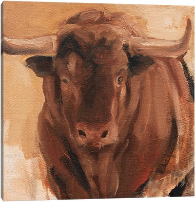 Toro Head Colorado (study 14) Canvas Art Print - Zil Hoque