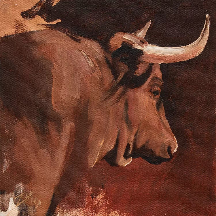 Toro Head Colorado (study 15)