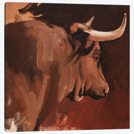 Toro Head Colorado (study 15) Canvas Print #ZHO154} by Zil Hoque Canvas Artwork