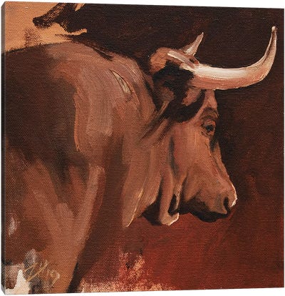 Toro Head Colorado (study 15) Canvas Art Print - Zil Hoque