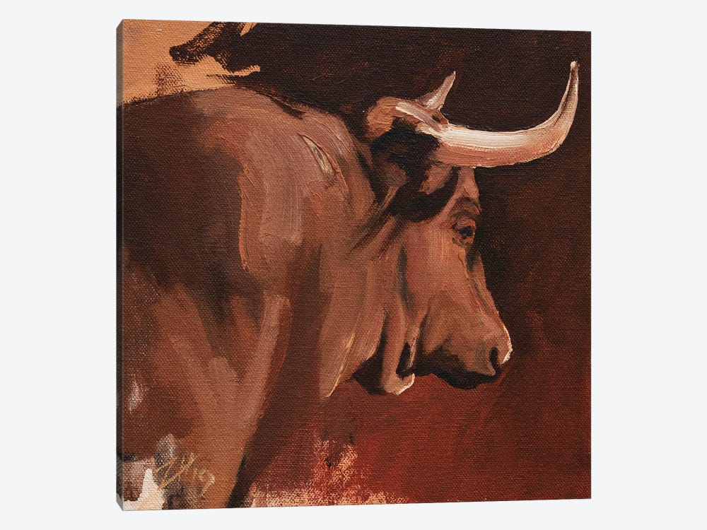 Toro Head Colorado (study 15) by Zil Hoque 1-piece Canvas Print