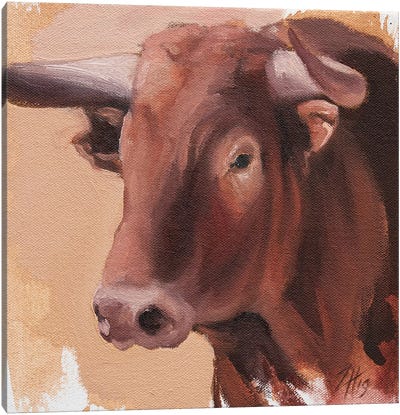 Toro Head Colorado (study 19) Canvas Art Print - Zil Hoque