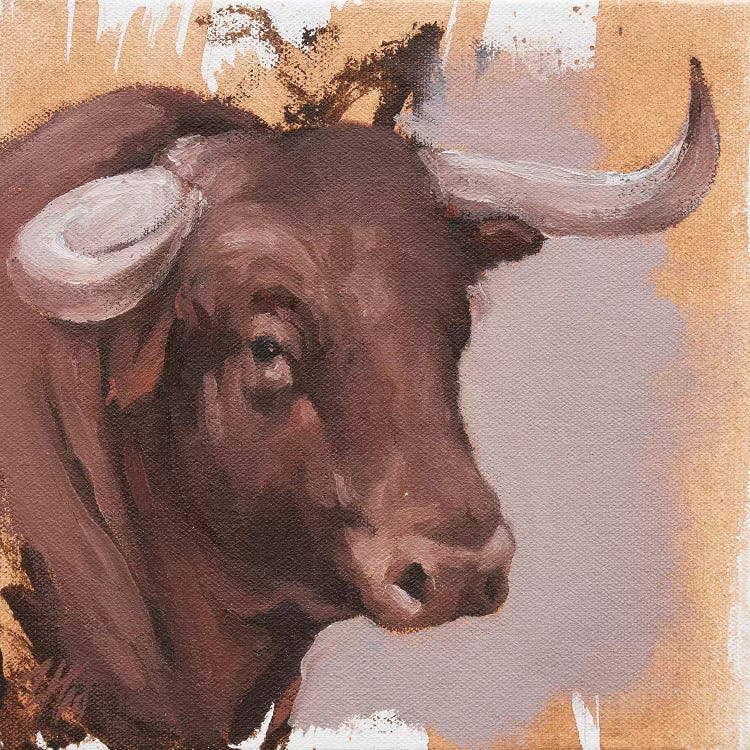 Toro Head Colorado (study 22)