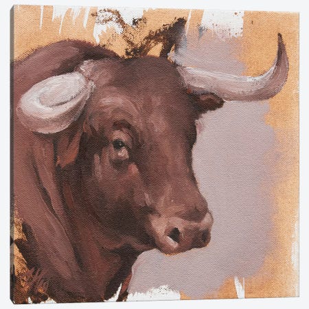 Toro Head Colorado (study 22) Canvas Print #ZHO156} by Zil Hoque Canvas Wall Art