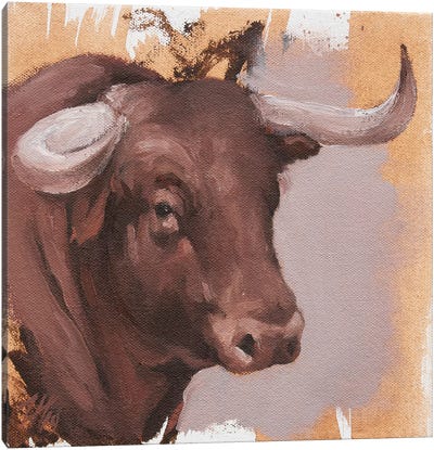 Toro Head Colorado (study 22) Canvas Art Print - Zil Hoque