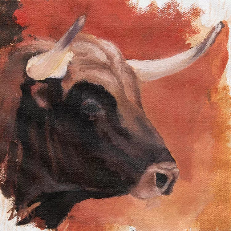 Toro Head Colorado (study 28)