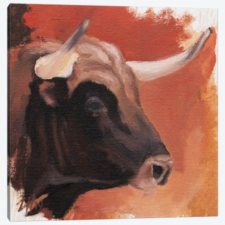 Toro Head Colorado (study 28) Canvas Print #ZHO157} by Zil Hoque Canvas Artwork
