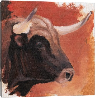 Toro Head Colorado (study 28) Canvas Art Print - Zil Hoque