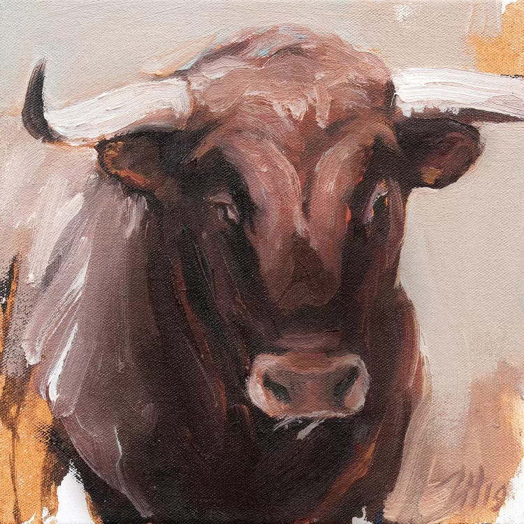 Toro Head Colorado (study 52)