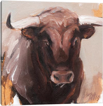 Toro Head Colorado (study 52) Canvas Art Print - Zil Hoque