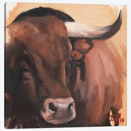 Toro Head Colorado (study 53) Canvas Print #ZHO159} by Zil Hoque Canvas Art Print