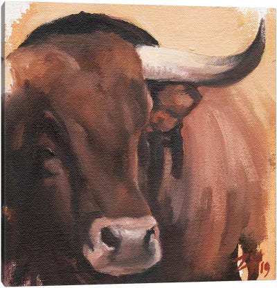 Toro Head Colorado (study 53) Canvas Art Print - Zil Hoque