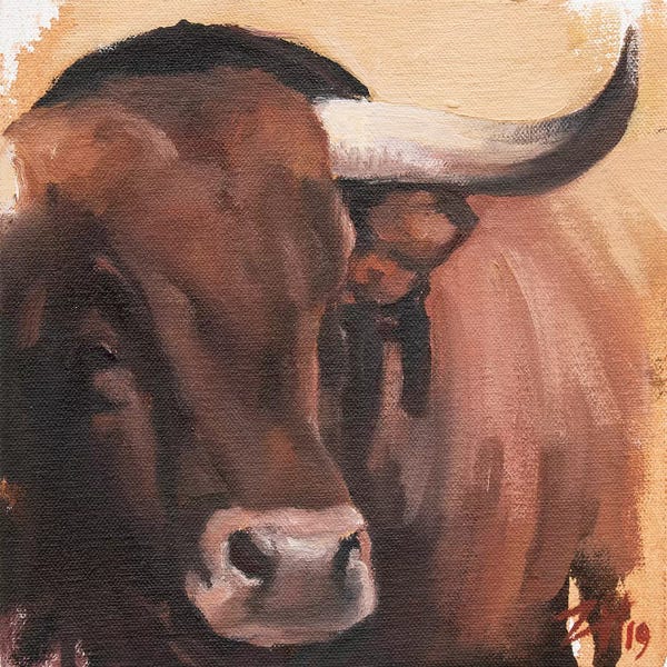 Bulls: Toro Head Colorado (study 53) by Zil Hoque