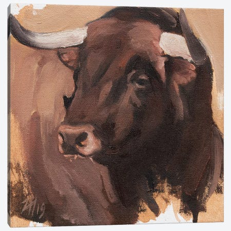 Toro Head Colorado (study 54) Canvas Print #ZHO160} by Zil Hoque Canvas Wall Art