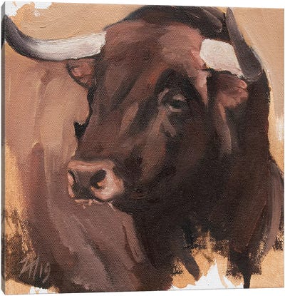 Toro Head Colorado (study 54) Canvas Art Print - Zil Hoque