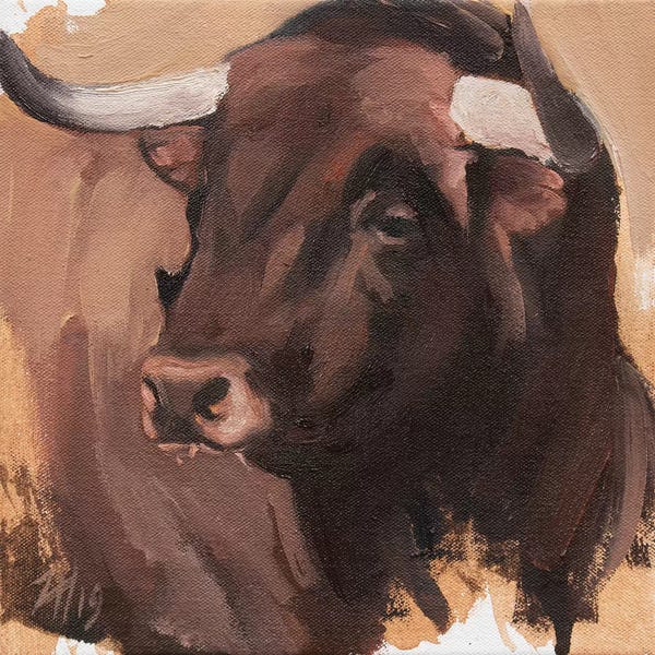 Bulls: Toro Head Colorado (study 54) by Zil Hoque