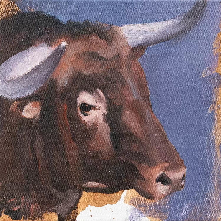 Toro Head Colorado (study 55)