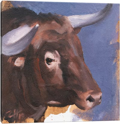 Toro Head Colorado (study 55) Canvas Art Print - Zil Hoque