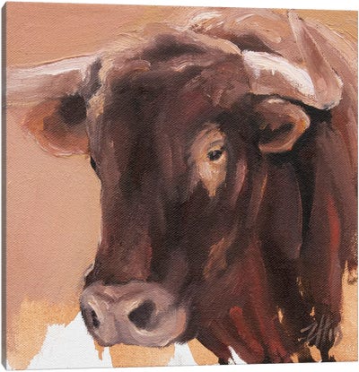 Toro Head Colorado (study 58) Canvas Art Print - Zil Hoque