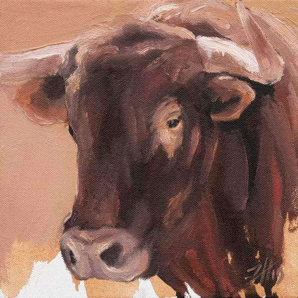 Bulls: Toro Head Colorado (study 58) by Zil Hoque