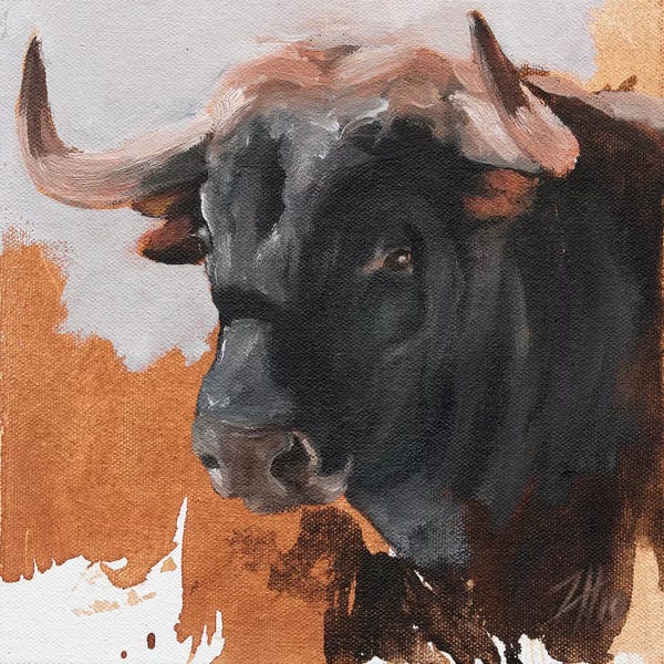 Bulls: Toro Head Negro (study 17) by Zil Hoque